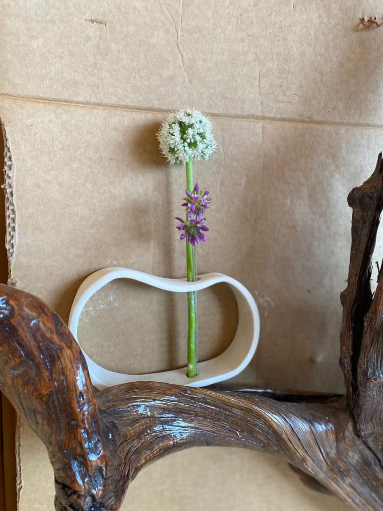 Minimalist flower vase with wildflowers
